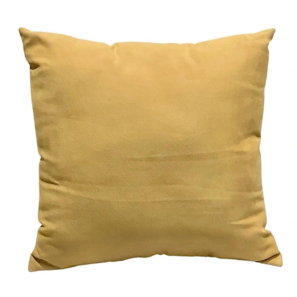 Pier 1 Green Key Throw Decorative